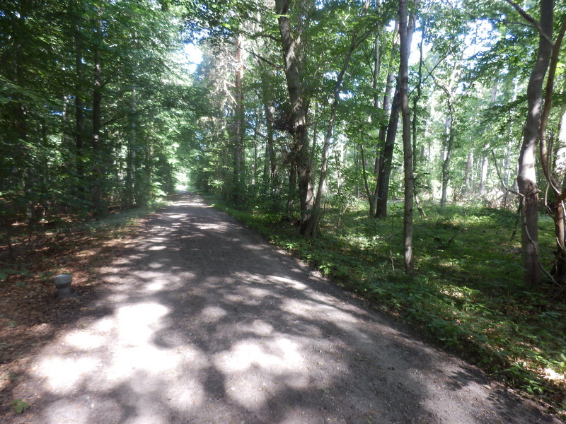 The Track Skovbrynet 5 m from the Confluence