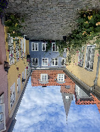 #10: Flower Street in Aalborg