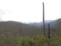 #2: Landscape Towards the Confluence Point