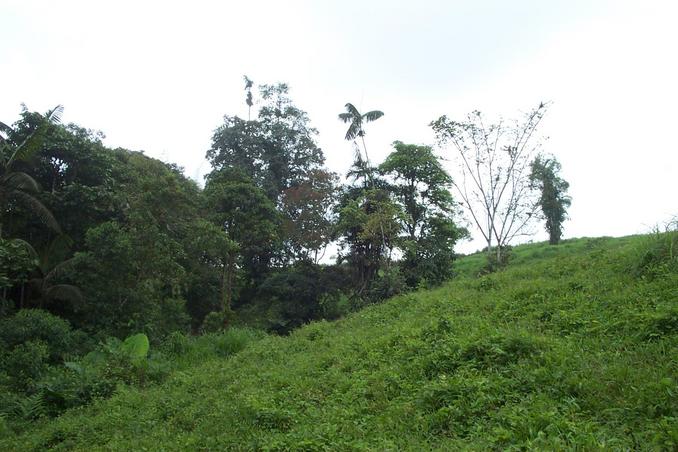 View west of the Confluence