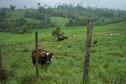 #2: The Farm Where the Confluence is located