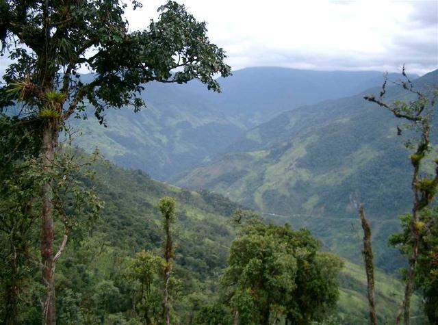 View into the Zamora Valley downriver