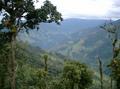 #2: View into the Zamora Valley downriver