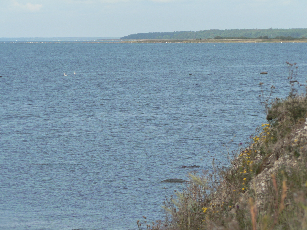 View North (telephoto)