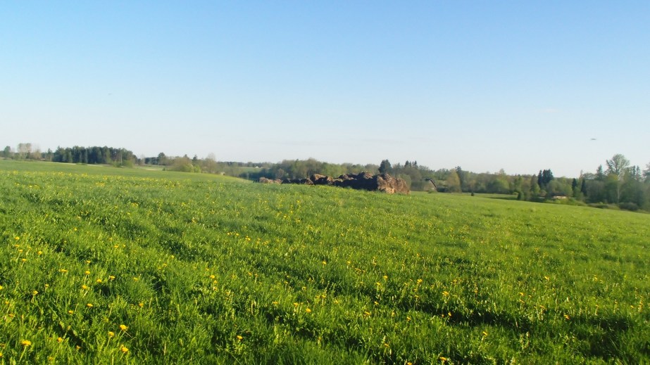 Meadows near the spot / Луга поблизости от точки