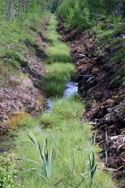 Trench flowing from east direction to zero and to west.