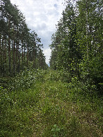 #8: The track towards the confluence point