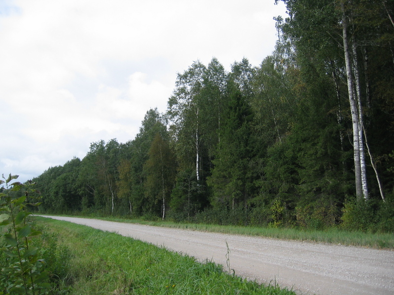 The Confluence from 40 m Distance