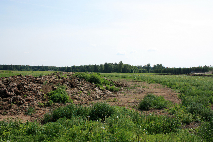 View to the south / Вид на юг