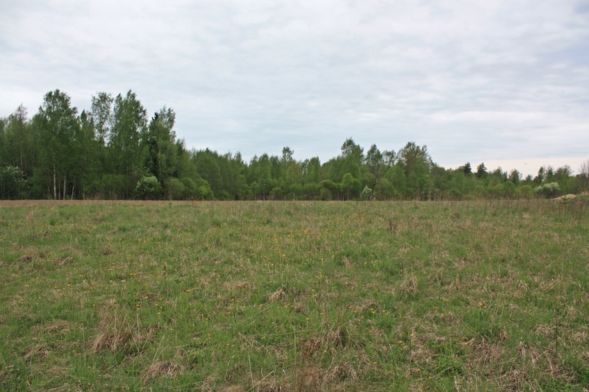 General view in south direction / Общий вид в южном направлении