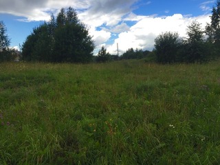 #1: The confluence point lies 90 m away, near the house on the left side of this photo. (This is a view to the west.)