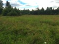 #2: A view to the north from 90 m north-east of the point