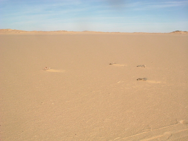 View west from Confluence