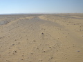 #8: Looking across the plain to the Confluence on top of the far ridge