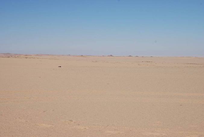 View north of the confluence point