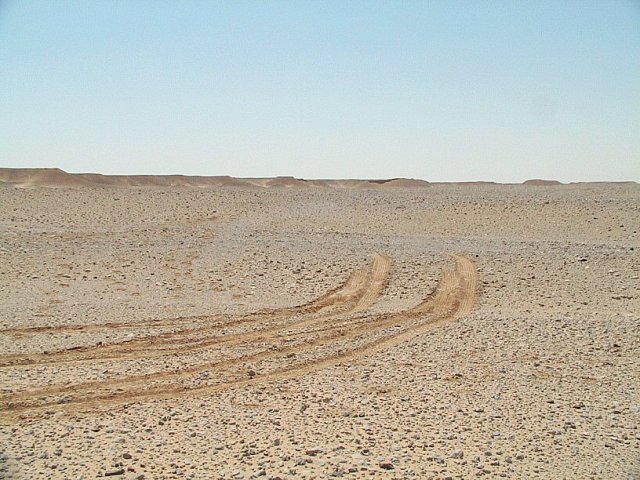 General view over Confluence area looking east from about 60 m