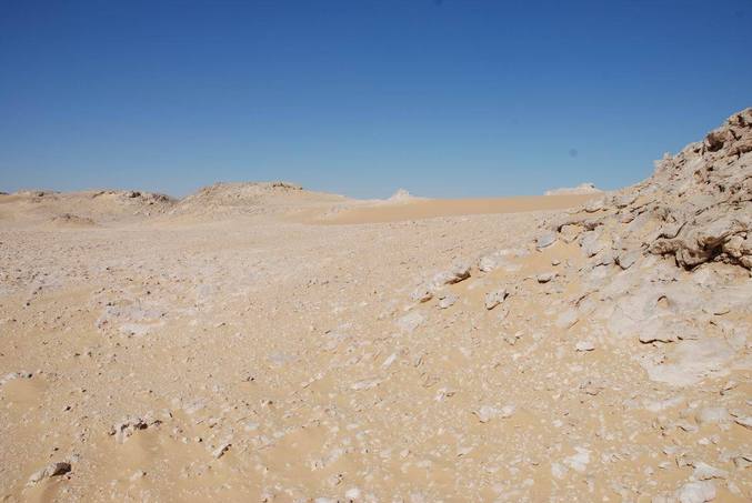 View north of the confluence point