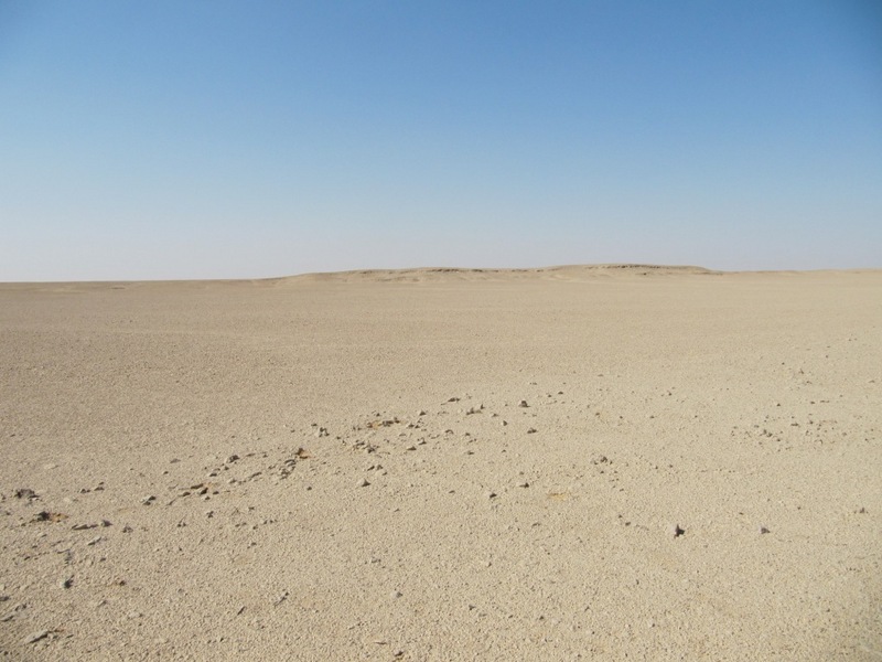 View East from the Confluence