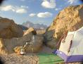 #9: Christmas Camp in the Eastern Desert!