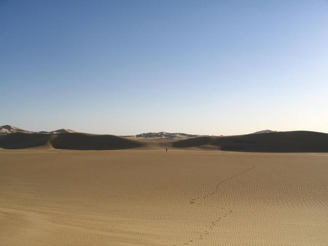 Lonely desert addict in Ġard al-Kabīr