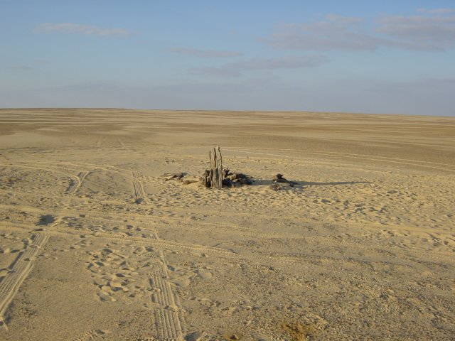 The Confluence represented by a piece of petrified forest