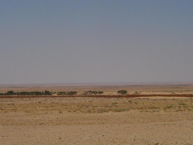 Looking west from the road over a fig grove towards the point some 3.5 km away.