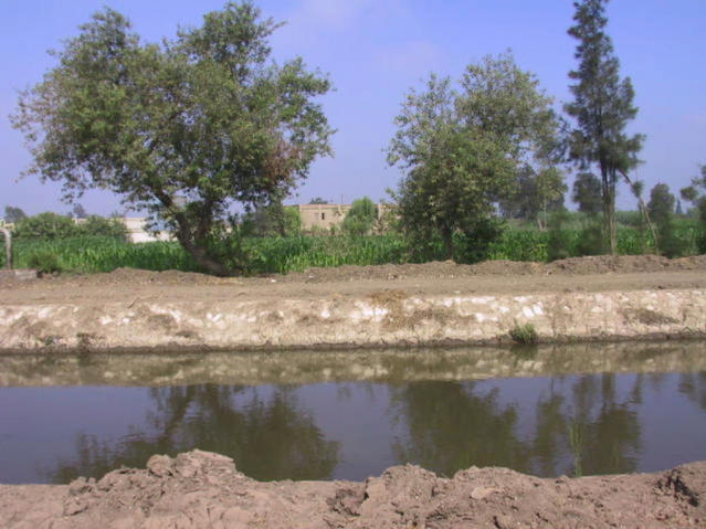 Looking across canal at the Confluence - between the trees