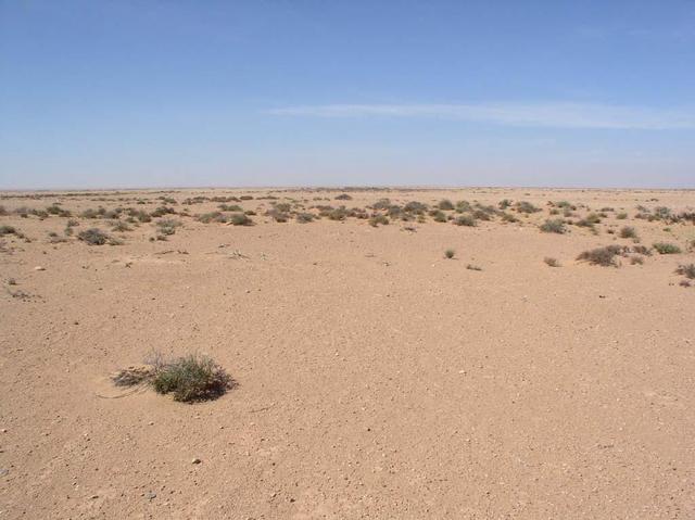 Confluence view north