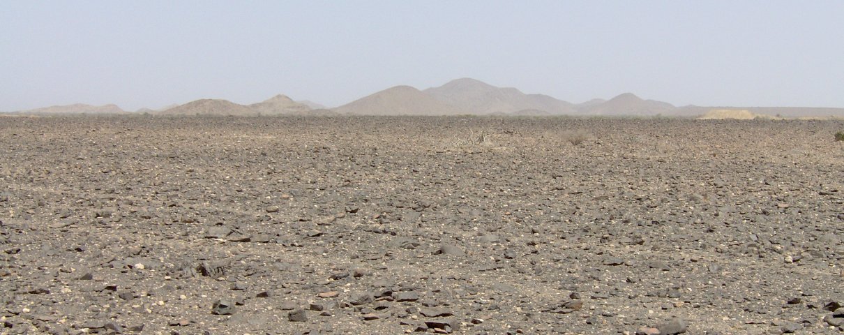 Tracks in the plain