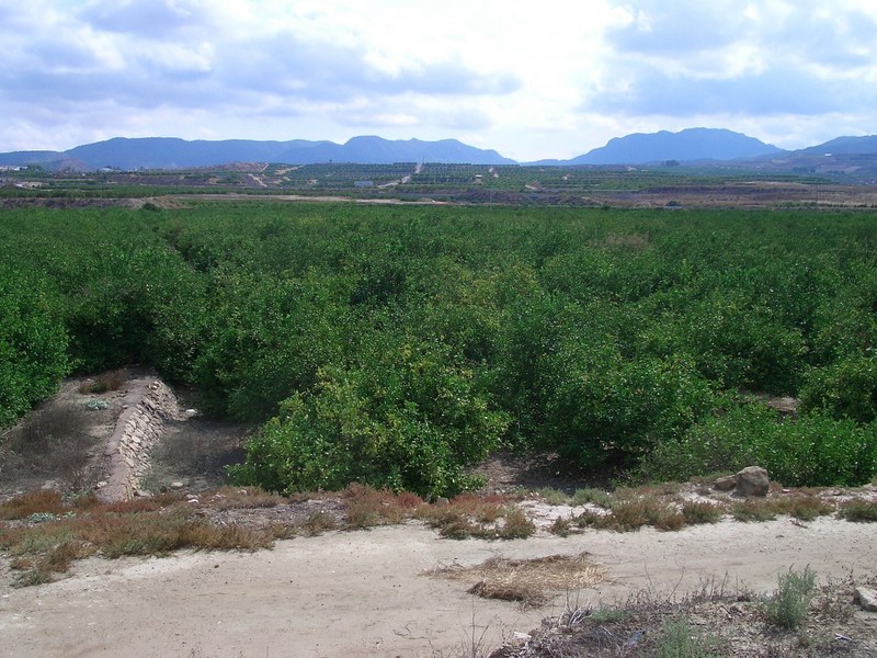 The confluence point as seen from above the road, about 60 m away