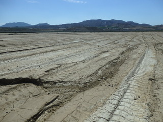 #1: The Confluence from 15 m Distance