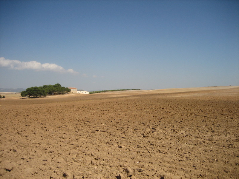 Confluencia / Confluence