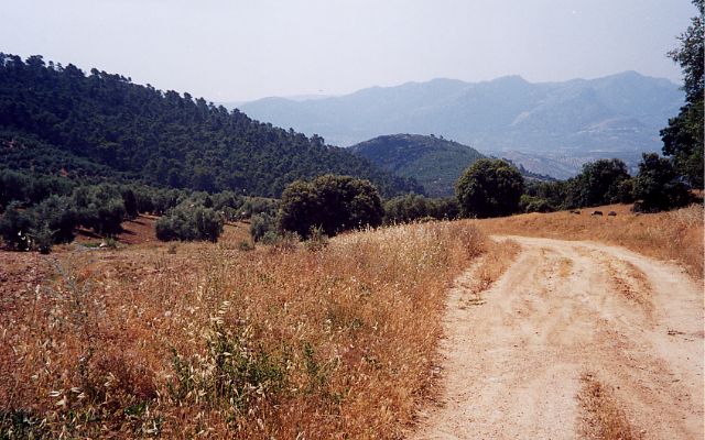 Local dirt road