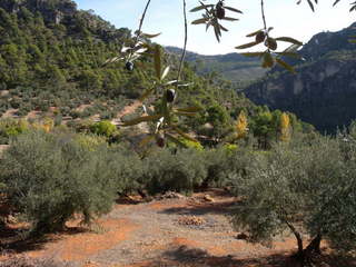 #1: The Confluence from 60 m