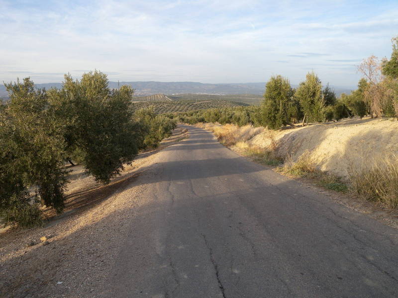 Country Lane Leading to the Confluence Point