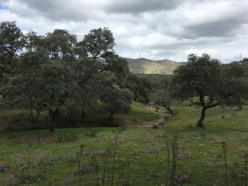 The Confluence from 15 m distance