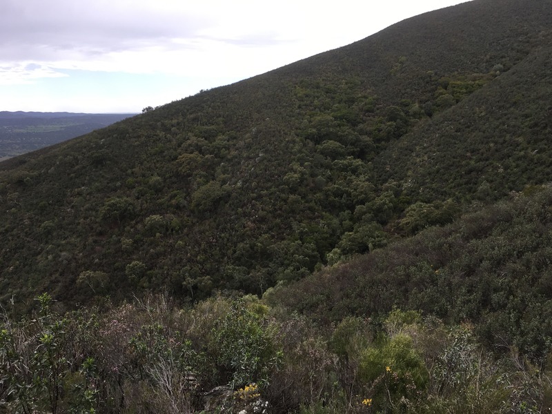 The Confluence from 200 m