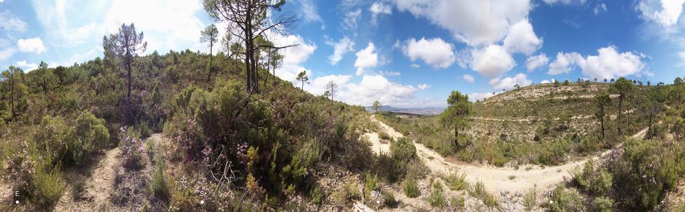 panorámica general (Este a la izquierda) / general panorama (This is to the left)