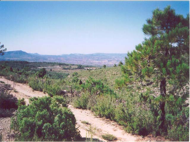 vista general hacia el oeste / General view toward the West