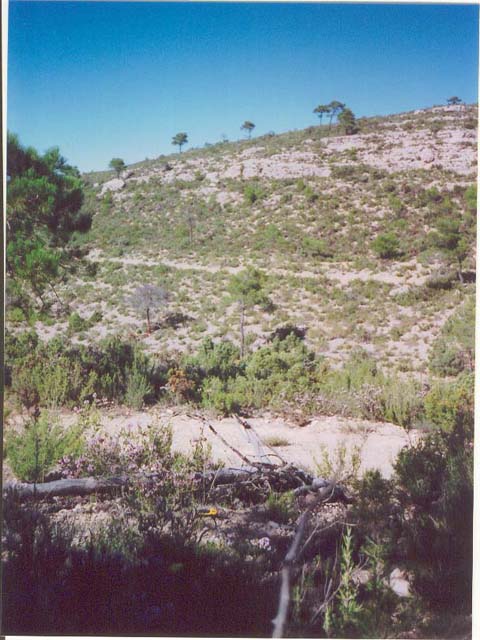 vista hacia el norte / View toward the North