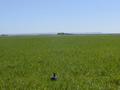 #2: View from the East with Albacete and Chinchilla in the horizon