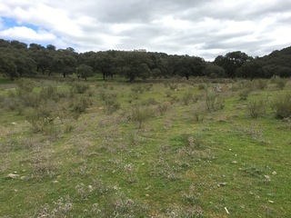 #1: The Confluence from 15 m distance