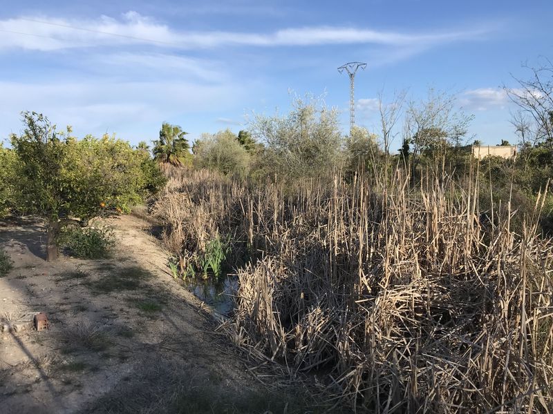 View to the east from the confluence. 