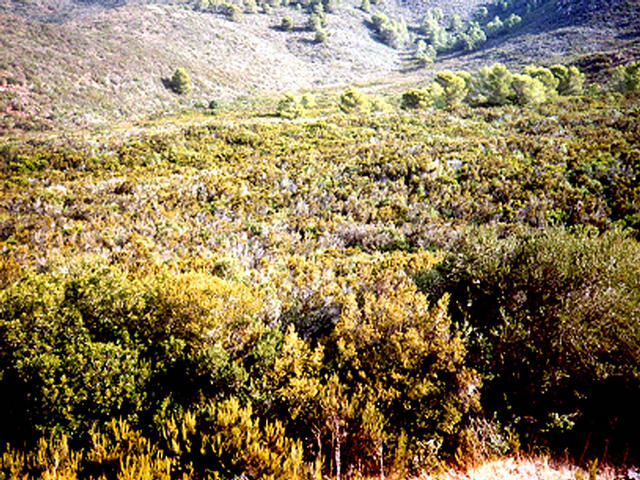 40N4E - view over confluence from the South - confluence is in the flat area in the middle distance