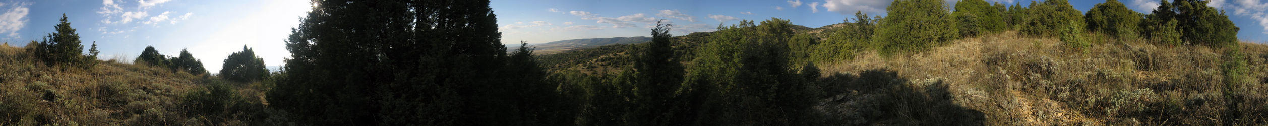 PANORAMICA