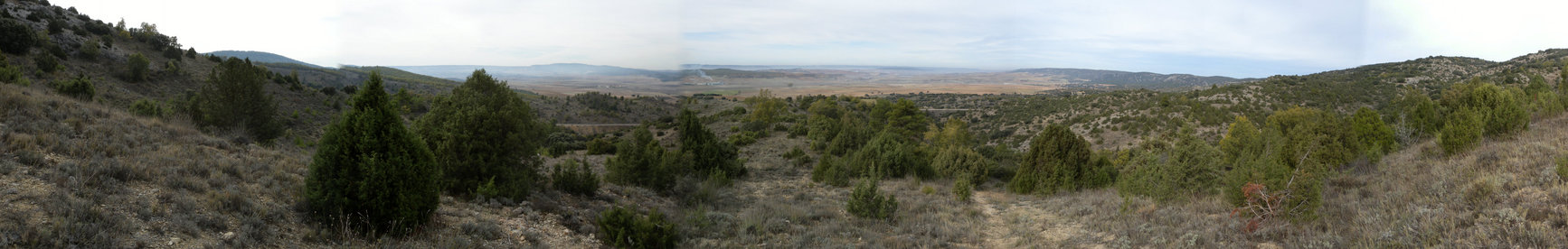 Panoramic View