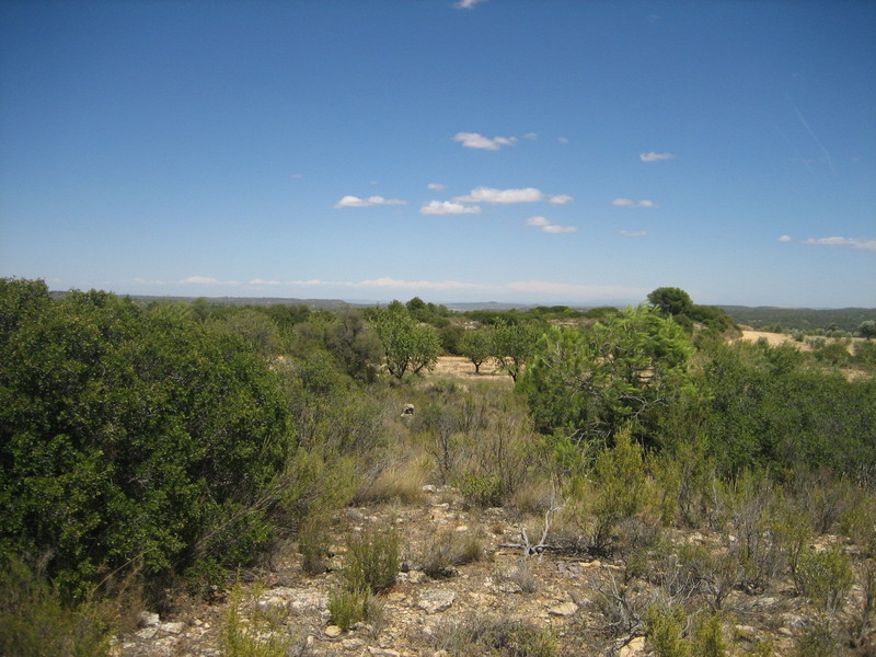 Confluencia / Confluence