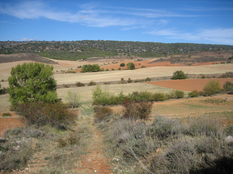 Confluencia / Confluence