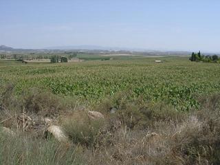 #1: General view from 1/2 mile at the SW of the CP / Vista general desde a 800 m al SO