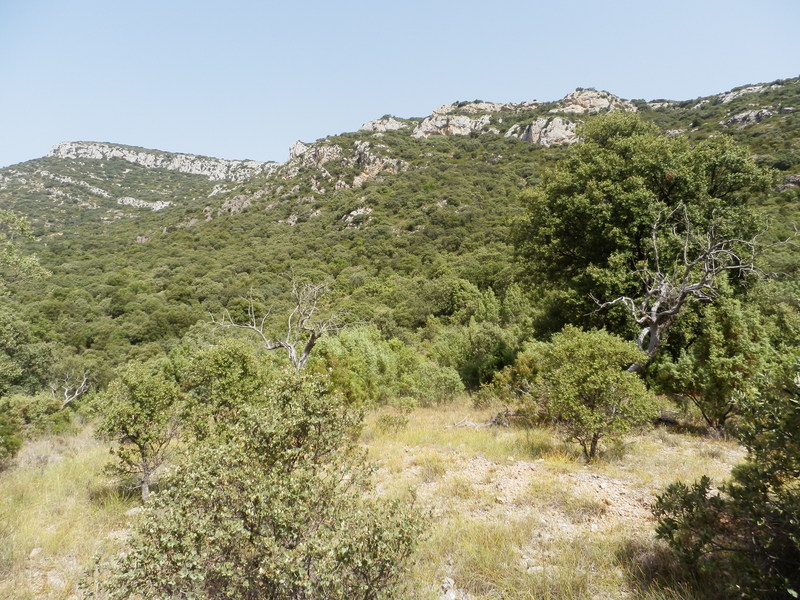 The Confluence from 20 m